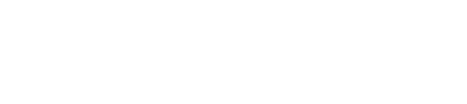 BlueMetric